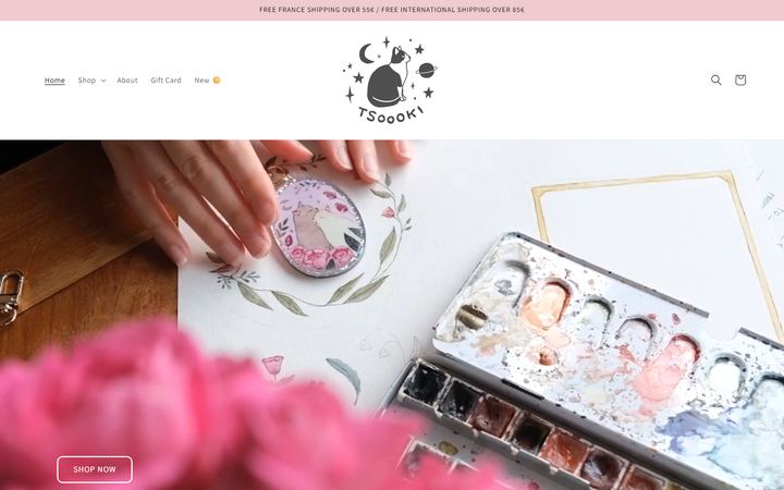 Aperçu du site tsoooki.com
